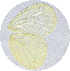  ( - SC-01-T389)  @12 [ ] Unspecified (default): All Rights Reserved  Unspecified Unspecified