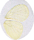  ( - SC-01-T393)  @12 [ ] Unspecified (default): All Rights Reserved  Unspecified Unspecified
