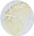  ( - SC-01-T394)  @12 [ ] Unspecified (default): All Rights Reserved  Unspecified Unspecified