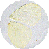  ( - SC-01-T395)  @12 [ ] Unspecified (default): All Rights Reserved  Unspecified Unspecified