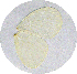  ( - SC-01-T396)  @12 [ ] Unspecified (default): All Rights Reserved  Unspecified Unspecified