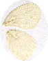  ( - SC-08-SL02)  @13 [ ] Unspecified (default): All Rights Reserved  Unspecified Unspecified