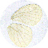  ( - SS-08-GH06)  @13 [ ] Unspecified (default): All Rights Reserved  Unspecified Unspecified