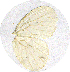  ( - TBL-08-1005)  @13 [ ] Unspecified (default): All Rights Reserved  Unspecified Unspecified