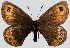  ( - RVcoll.08-M623)  @13 [ ] Unspecified (default): All Rights Reserved  Unspecified Unspecified