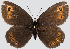  ( - RVcoll.08-M624)  @13 [ ] Unspecified (default): All Rights Reserved  Unspecified Unspecified