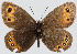  ( - RVcoll.08-M626)  @14 [ ] Unspecified (default): All Rights Reserved  Unspecified Unspecified
