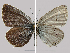 ( - RV-08-A007)  @12 [ ] Copyright (2010) Unspecified Institute of Evolutionary Biology