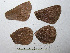  ( - RVcoll.06-M890)  @12 [ ] Copyright (2010) V. Dinca 2010 Unspecified