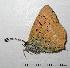  ( - RV-07-E489)  @13 [ ] Copyright (2010) Unspecified Institute of Evolutionary Biology