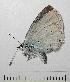  ( - RV-08-A007)  @12 [ ] Copyright (2010) Unspecified Institute of Evolutionary Biology