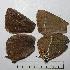  ( - RV-08-A020)  @12 [ ] Copyright (2010) Unspecified Institute of Evolutionary Biology