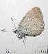  ( - RV-08-A021)  @12 [ ] Copyright (2010) Unspecified Institute of Evolutionary Biology