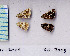  ( - RVcoll.06-J009)  @12 [ ] Copyright (2010) Unspecified Institute of Evolutionary Biology