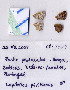  ( - RVcoll.08-J149)  @12 [ ] Copyright (2010) Unspecified Institute of Evolutionary Biology