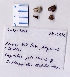  ( - RVcoll.08-L626)  @12 [ ] Copyright (2010) Unspecified Institute of Evolutionary Biology