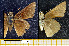  ( - RVcoll.08-M021)  @13 [ ] Copyright (2013) Roger Vila Institute of Evolutionary Biology
