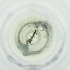  ( - FACE_007_E4)  @11 [ ] by  Genome Research Ltd as Wellcome Sanger Institute Genome Research Limited operating as Wellcome Sanger Institute