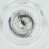  ( - FACE_012_E10)  @11 [ ] by  Genome Research Ltd as Wellcome Sanger Institute Genome Research Limited operating as Wellcome Sanger Institute