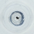  ( - FACE_013_D7)  @11 [ ] by  Genome Research Ltd as Wellcome Sanger Institute Genome Research Limited operating as Wellcome Sanger Institute