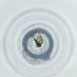  ( - FACE_013_G1)  @11 [ ] by  Genome Research Ltd as Wellcome Sanger Institute Genome Research Limited operating as Wellcome Sanger Institute