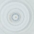  (Proctolaelaps sp. JCS67 - FACE_014_A1)  @11 [ ] by  Genome Research Ltd as Wellcome Sanger Institute Genome Research Limited operating as Wellcome Sanger Institute