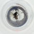  ( - FACE_014_H9)  @11 [ ] by  Genome Research Ltd as Wellcome Sanger Institute Genome Research Limited operating as Wellcome Sanger Institute