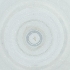  ( - FACE_017_D6)  @11 [ ] by  Genome Research Ltd as Wellcome Sanger Institute Genome Research Limited operating as Wellcome Sanger Institute