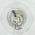  ( - FACE_019_E5)  @11 [ ] by  Genome Research Ltd as Wellcome Sanger Institute Genome Research Limited operating as Wellcome Sanger Institute