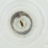  ( - FACE_020_D8)  @11 [ ] by  Genome Research Ltd as Wellcome Sanger Institute Genome Research Limited operating as Wellcome Sanger Institute