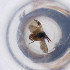  ( - FACE_021_D8)  @11 [ ] by  Genome Research Ltd as Wellcome Sanger Institute Genome Research Limited operating as Wellcome Sanger Institute