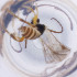  ( - FACE_023_A7)  @11 [ ] by  Genome Research Ltd as Wellcome Sanger Institute Genome Research Limited operating as Wellcome Sanger Institute