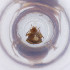  ( - FACE_027_B4)  @11 [ ] by  Genome Research Ltd as Wellcome Sanger Institute Genome Research Limited operating as Wellcome Sanger Institute