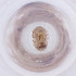  ( - FACE_027_D3)  @11 [ ] by  Genome Research Ltd as Wellcome Sanger Institute Genome Research Limited operating as Wellcome Sanger Institute