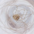  ( - FACE_032_B8)  @11 [ ] by  Genome Research Ltd as Wellcome Sanger Institute Genome Research Limited operating as Wellcome Sanger Institute