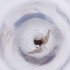  ( - FACE_033_E5)  @11 [ ] by  Genome Research Ltd as Wellcome Sanger Institute Genome Research Limited operating as Wellcome Sanger Institute