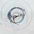  ( - FACE_036_G10)  @11 [ ] by  Genome Research Ltd as Wellcome Sanger Institute Genome Research Limited operating as Wellcome Sanger Institute