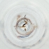  ( - FACE_038_E7)  @11 [ ] by  Genome Research Ltd as Wellcome Sanger Institute Genome Research Limited operating as Wellcome Sanger Institute