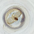  ( - FACE_082_E1)  @11 [ ] by  Genome Research Ltd as Wellcome Sanger Institute Genome Research Limited operating as Wellcome Sanger Institute