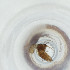  ( - FACE_088_F9)  @11 [ ] by  Genome Research Ltd as Wellcome Sanger Institute Genome Research Limited operating as Wellcome Sanger Institute