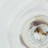 ( - FACE_097_E11)  @11 [ ] by  Genome Research Ltd as Wellcome Sanger Institute Genome Research Limited operating as Wellcome Sanger Institute