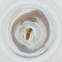  (Vaillantodes - FACE_129_D11)  @11 [ ] by  Genome Research Ltd as Wellcome Sanger Institute Genome Research Limited operating as Wellcome Sanger Institute