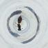  ( - FACE_149_G5)  @11 [ ] by  Genome Research Ltd as Wellcome Sanger Institute Genome Research Limited operating as Wellcome Sanger Institute
