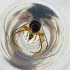  ( - FACE_159_C4)  @11 [ ] by  Genome Research Ltd as Wellcome Sanger Institute Genome Research Limited operating as Wellcome Sanger Institute