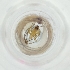  ( - FACE_164_G10)  @11 [ ] by  Genome Research Ltd as Wellcome Sanger Institute Genome Research Limited operating as Wellcome Sanger Institute
