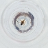  ( - FACE_168_G9)  @11 [ ] by  Genome Research Ltd as Wellcome Sanger Institute Genome Research Limited operating as Wellcome Sanger Institute