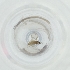  ( - FACE_173_E11)  @11 [ ] by  Genome Research Ltd as Wellcome Sanger Institute Genome Research Limited operating as Wellcome Sanger Institute