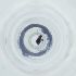  ( - FACE_175_C7)  @11 [ ] by  Genome Research Ltd as Wellcome Sanger Institute Genome Research Limited operating as Wellcome Sanger Institute
