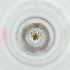  ( - FACE_175_F12)  @11 [ ] by  Genome Research Ltd as Wellcome Sanger Institute Genome Research Limited operating as Wellcome Sanger Institute