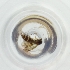  ( - FACE_177_H9)  @11 [ ] by  Genome Research Ltd as Wellcome Sanger Institute Genome Research Limited operating as Wellcome Sanger Institute